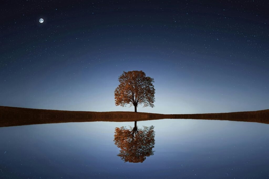 Reflection Beawareofmecom Habits to Cultivate Mindfulness