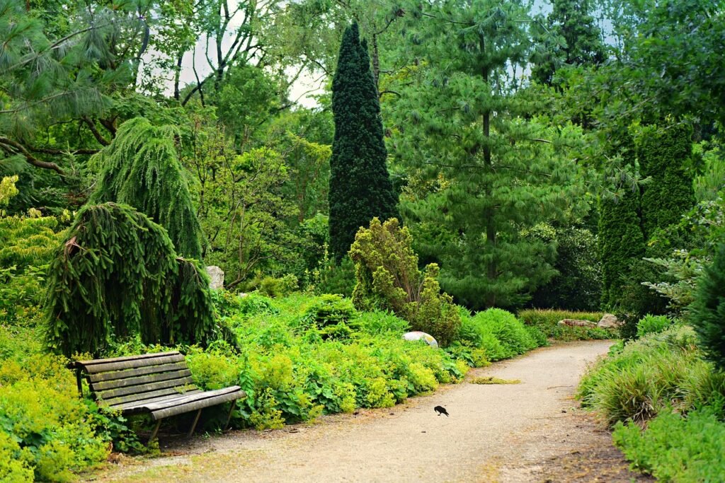 park43148171280 Beawareofmecom Path Mental Health Leading the Future of Online Therapy