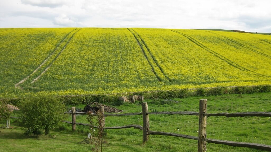 agriculture32792531280 Beawareofmecom