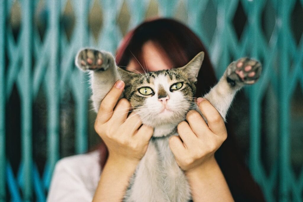 Pets Depression 2 Beawareofmecom Pets Depression