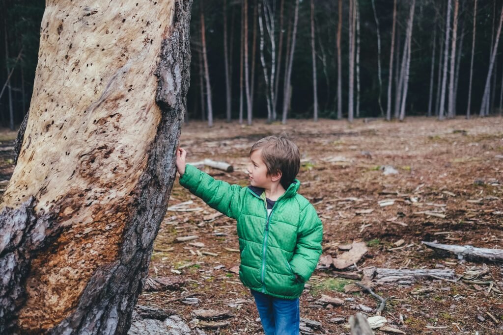 Childhood Trauma in Adulthood 2 Beawareofmecom Childhood Trauma in Adulthood