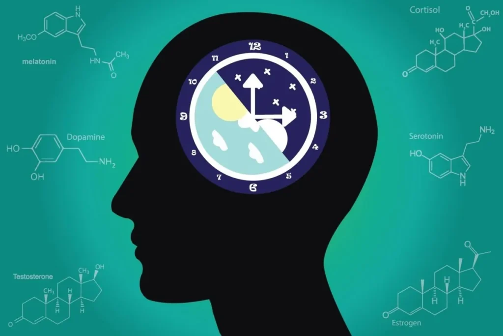Cortisol and Stress Hormones in Nighttime Anxiety Beawareofmecom The Role of Cortisol and Stress Hormones in Nighttime Anxiety