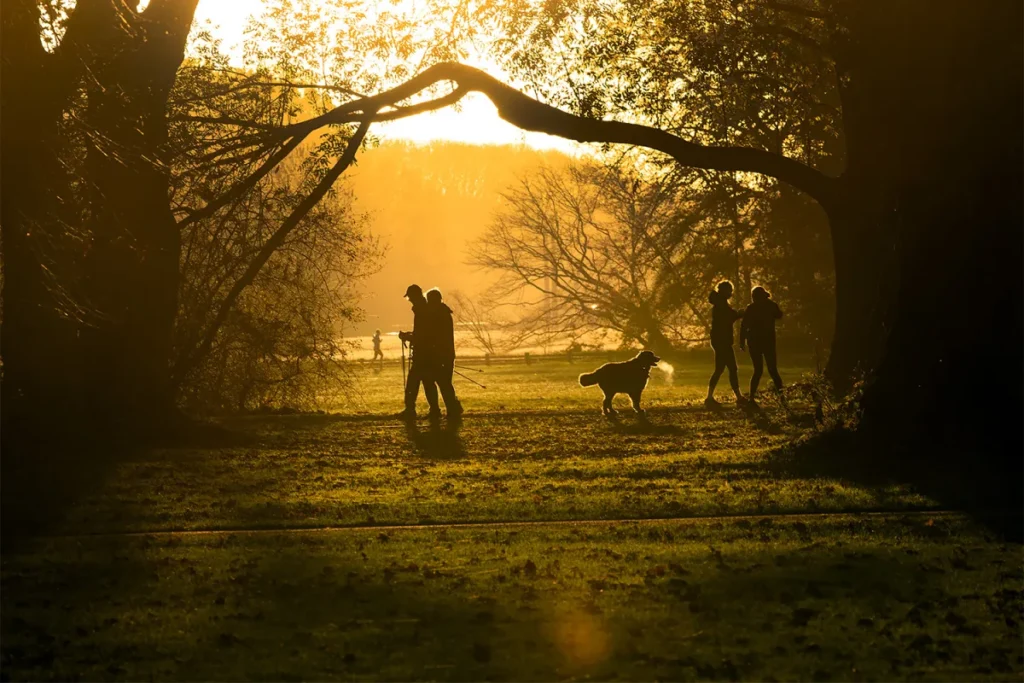 Morning sun Light Therapy Beawareofmecom Why Morning Light Therapy Works for Morning Depression