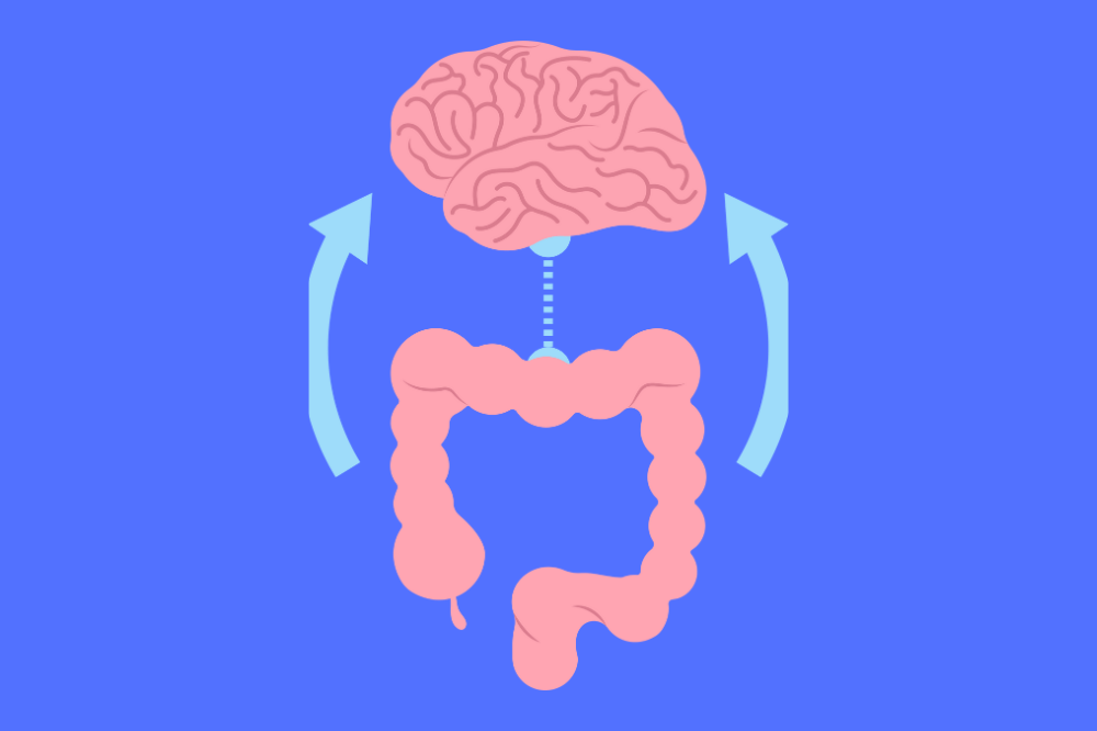 Probiotic and Fermented Foods Beawareofmecom Probiotic and Fermented Foods Nourishing the Gut Brain Axis